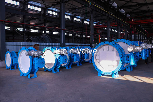 Wuhan Libin Valve Manufacturing Co., Ltd.